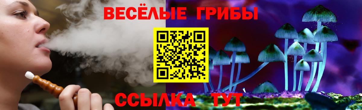 Лесосибирск  Псилоцибиновые грибы GOLDEN TEACHER  Вход с VPN 